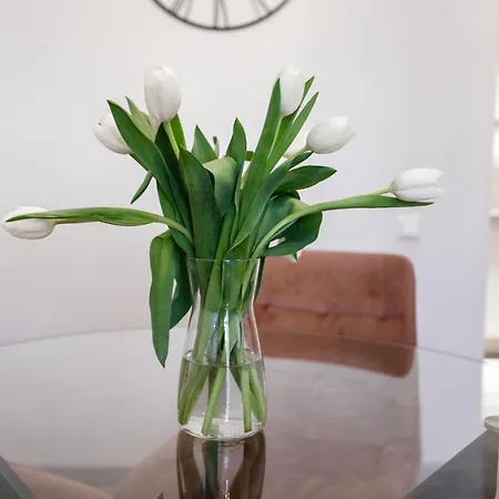 New Loft Majori With Terrace Apartment
